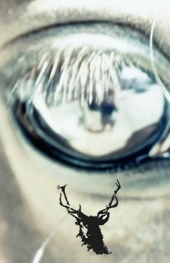 Prestimage France – La résurrection du cerf