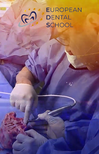 European Dental School